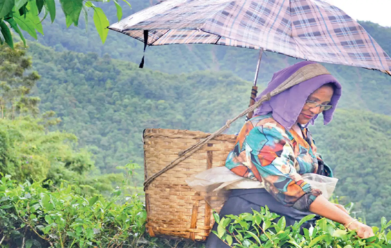 Darjeeling's tribal girl Ronita Lama was humiliated in her own house, her language and identity became the target